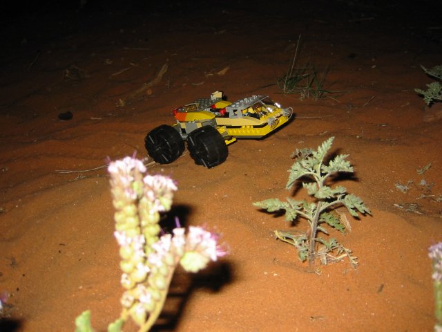 l21.jpg