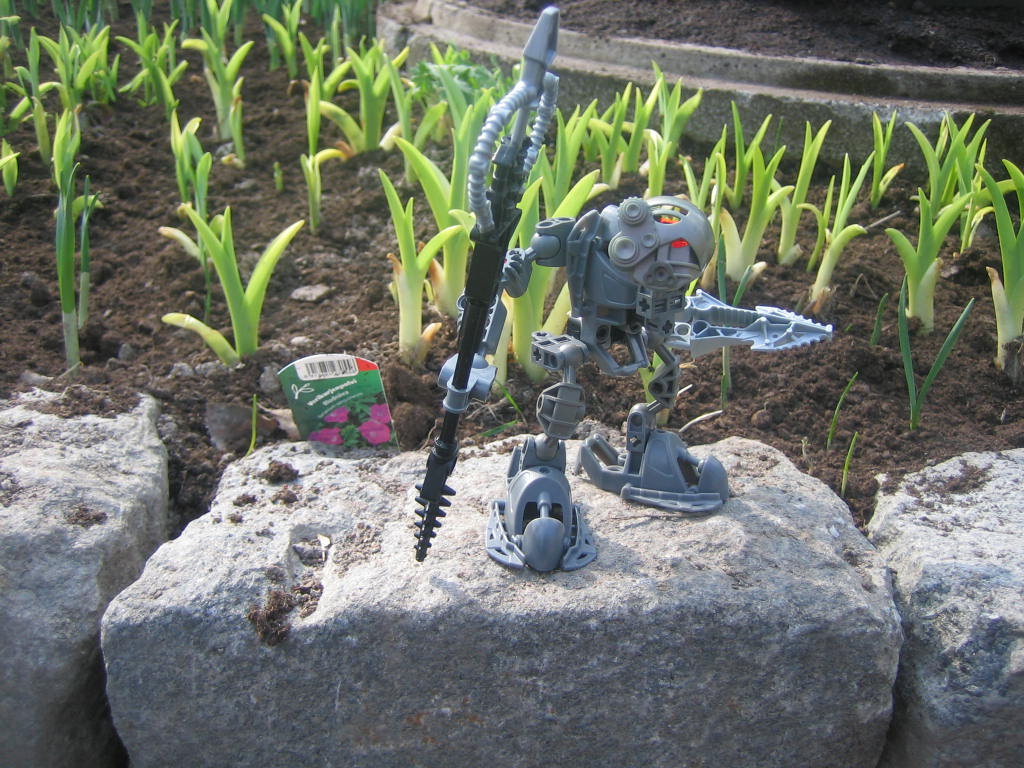 bionicle_223.jpg