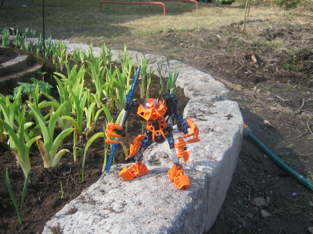 bionicle_208.jpg