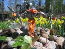 pics_331.jpg