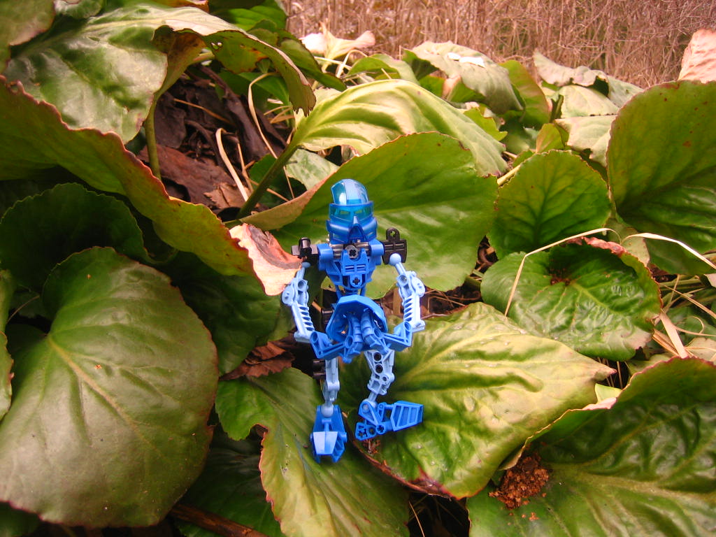 bionicle_204.jpg