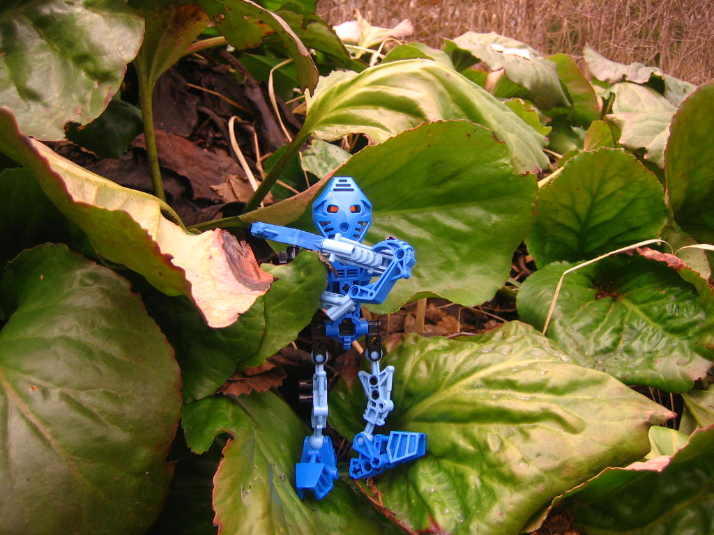 bionicle_206.jpg