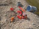 bionicle_238.jpg
