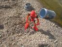 bionicle_243.jpg