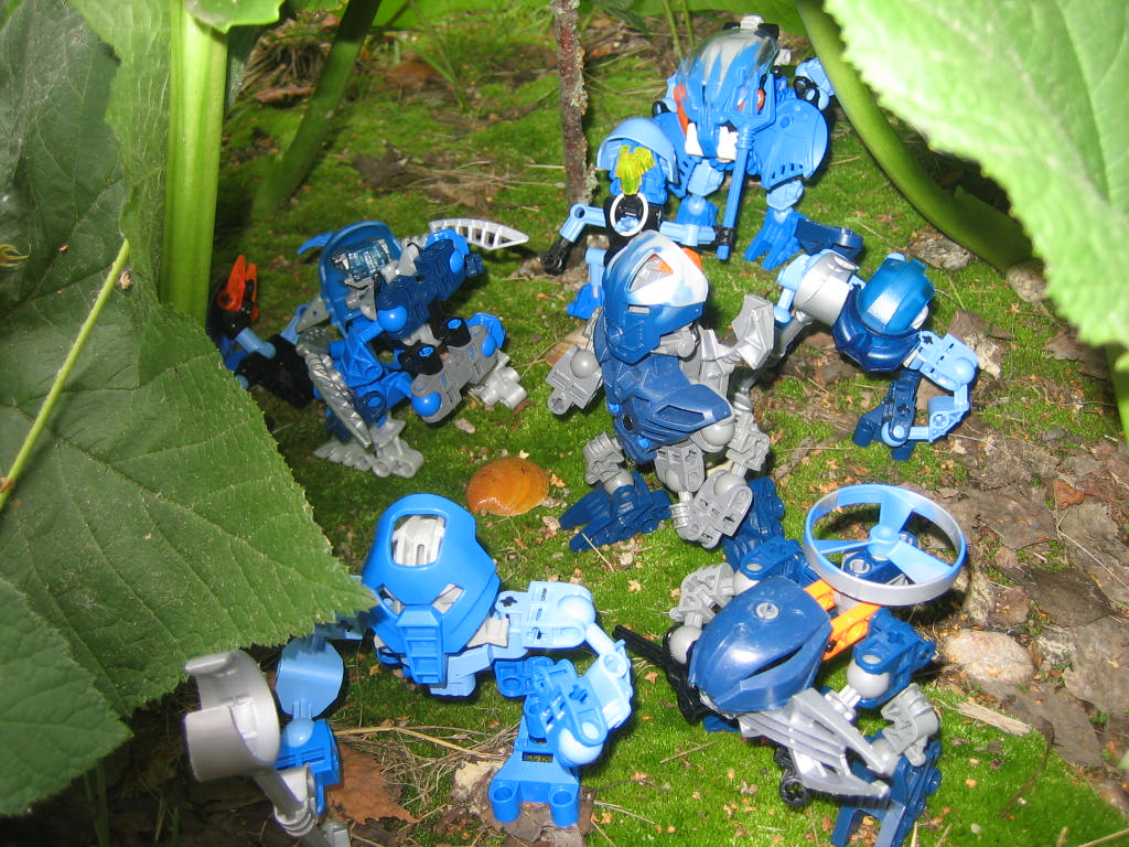 img_0877.jpg
