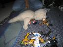 img_1502.jpg