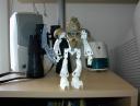 dsc00010.jpg
