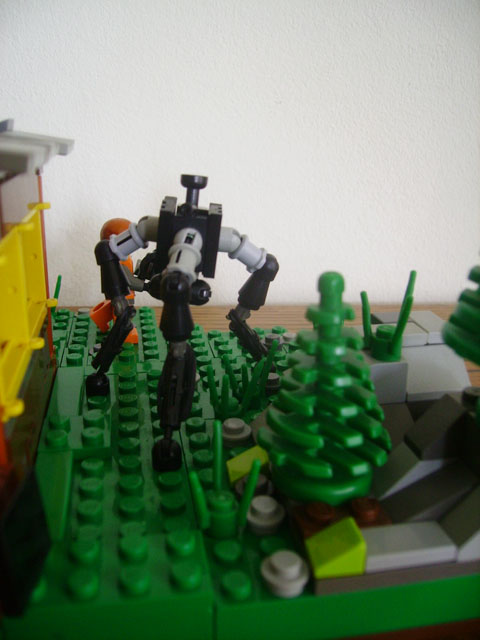 imgp0105.jpg