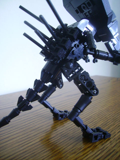 imgp0151.jpg