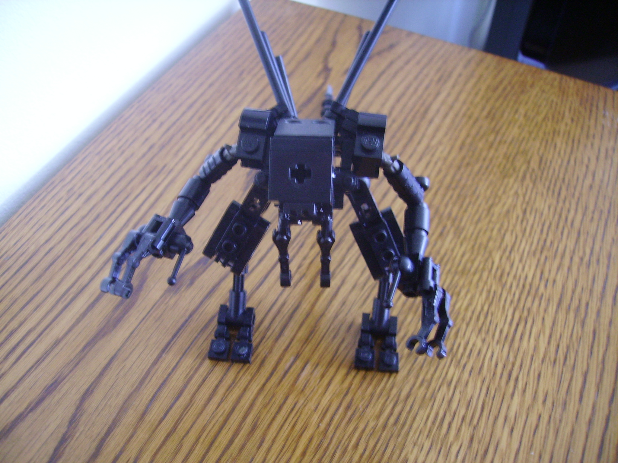 imgp0156.jpg