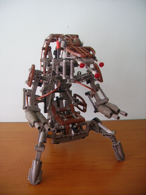 8002.jpg