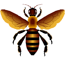 bee.gif