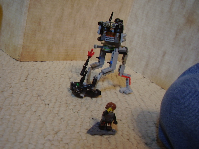 tri-walker_006.jpg