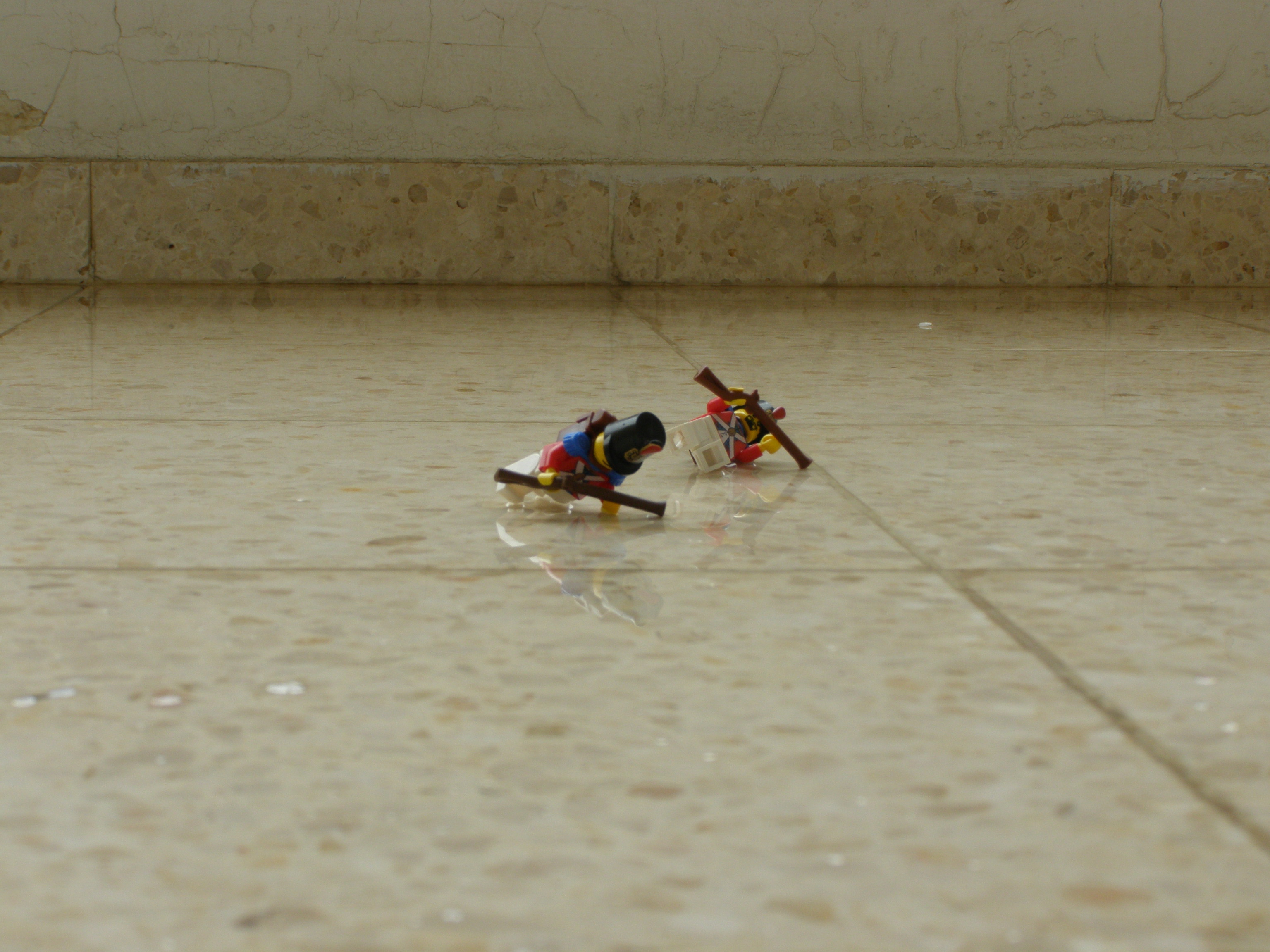p2260277.jpg