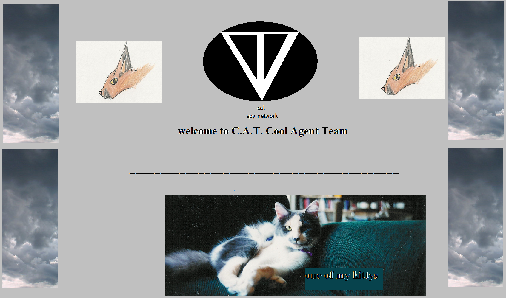 cat_start_page.bmp