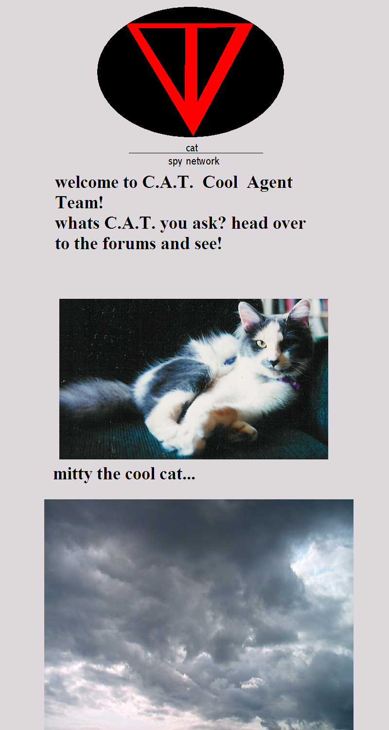 cat_start_page02.bmp