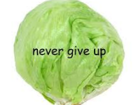 lettuce.png