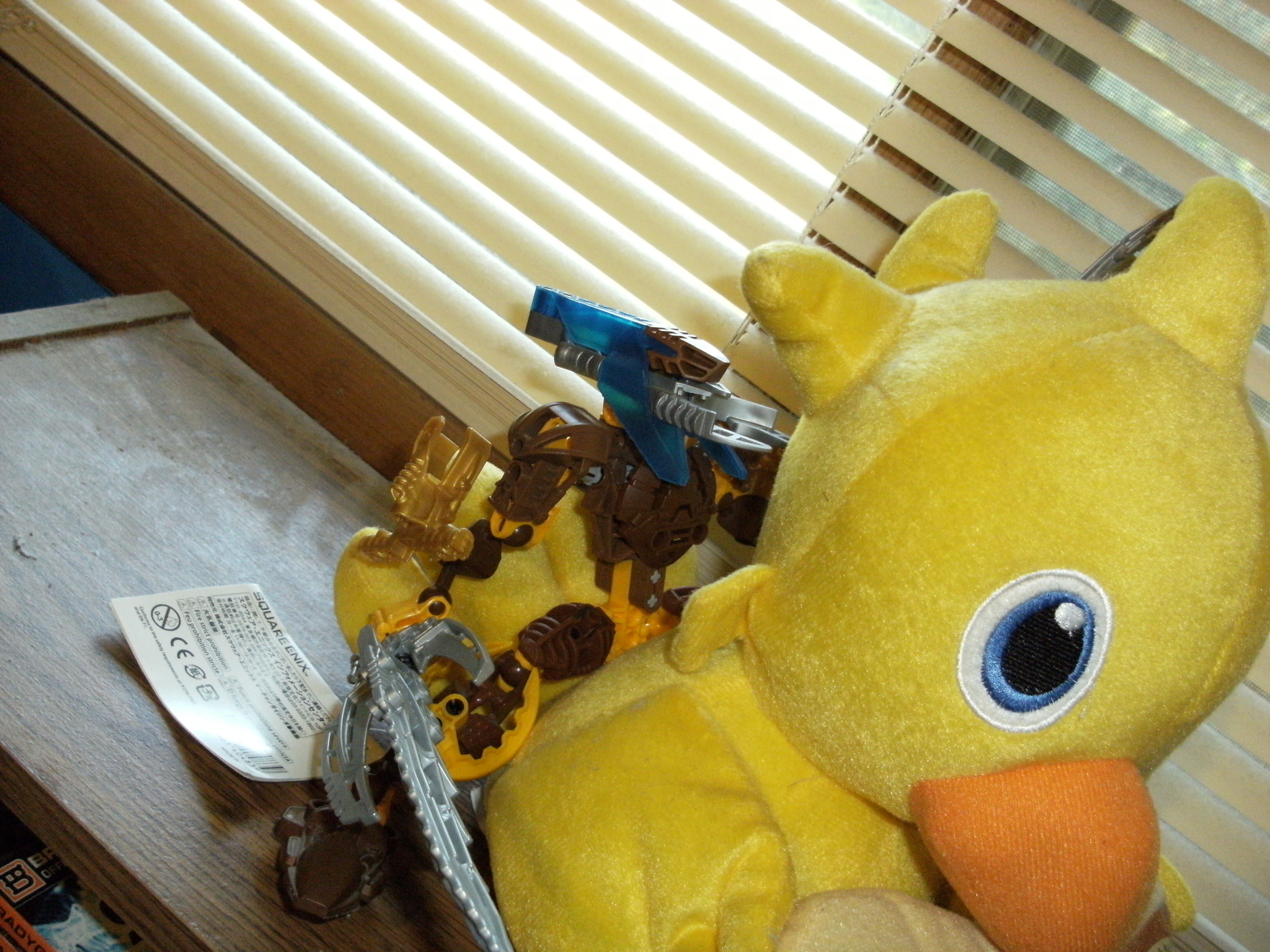 dscf0221.jpg