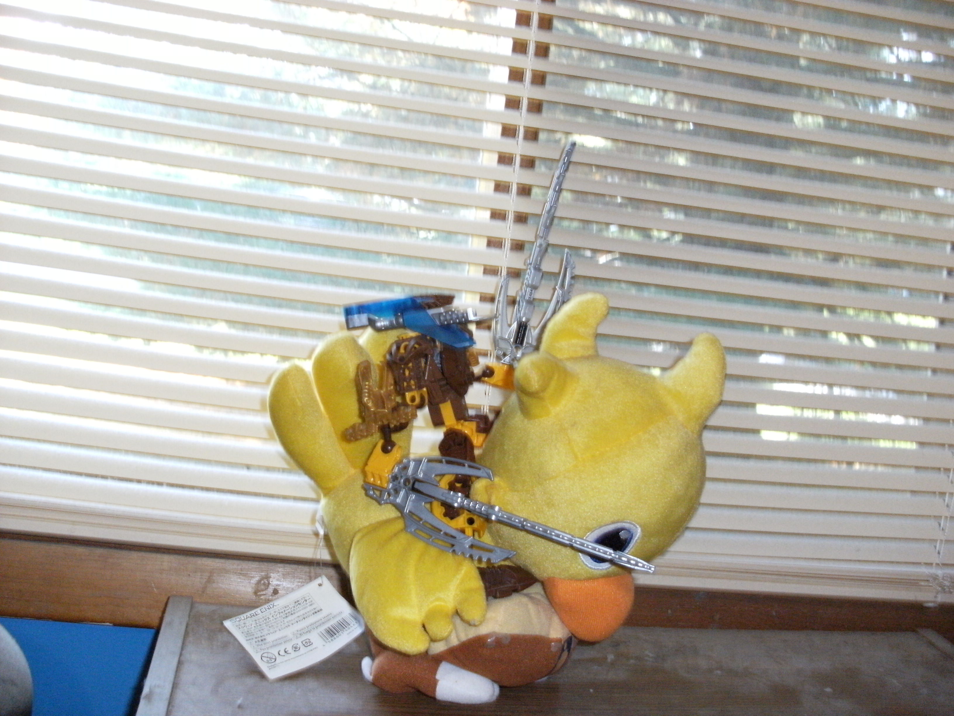 dscf0225.jpg