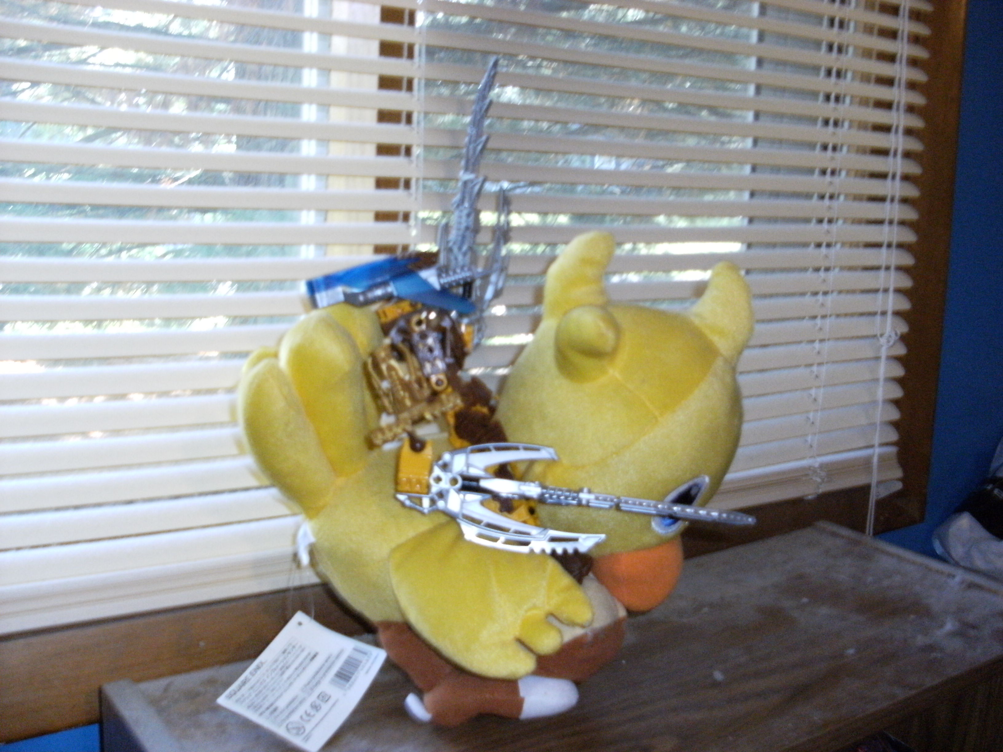 dscf0229.jpg