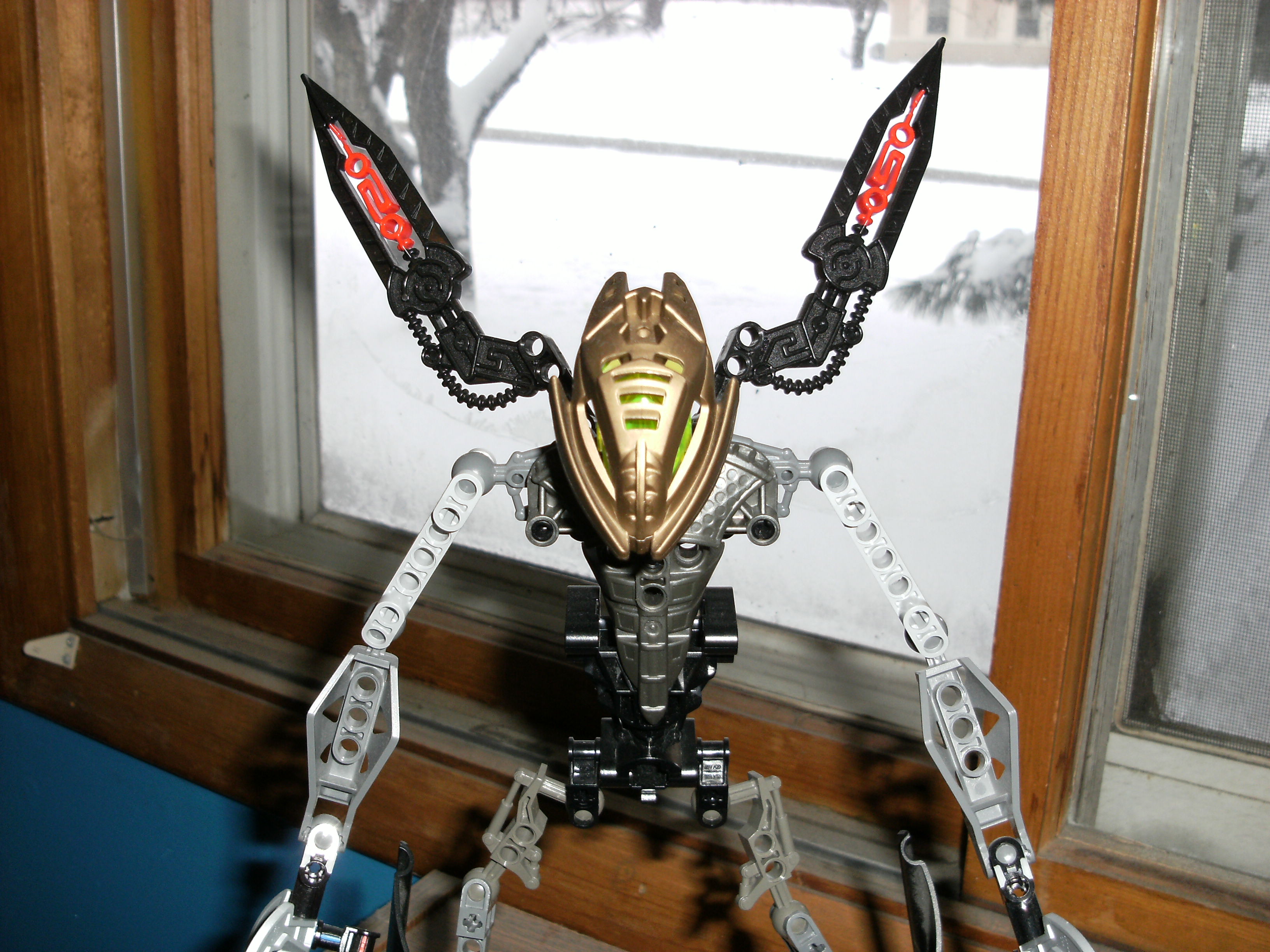 dscf0051.jpg