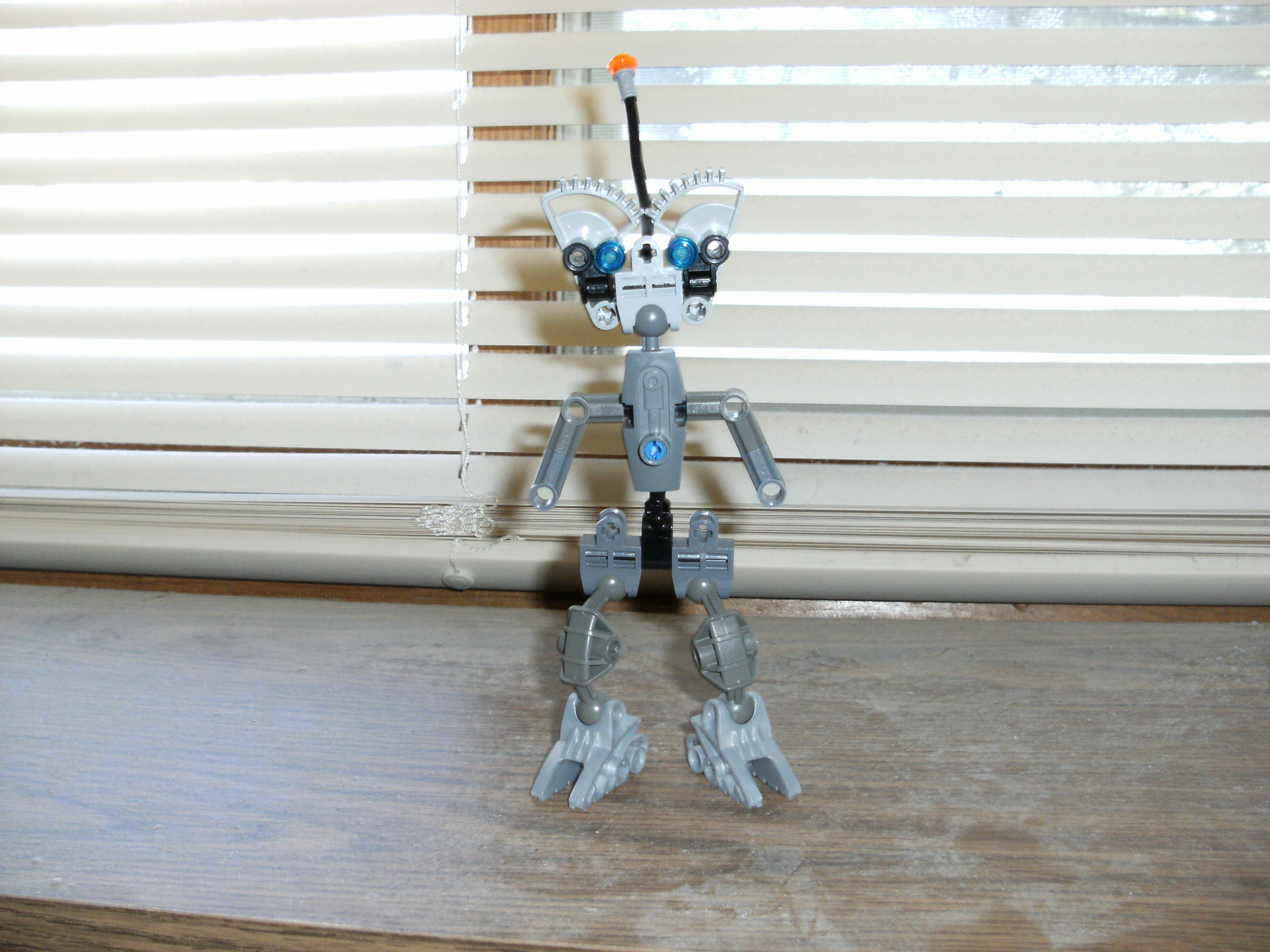 dscf0101.jpg