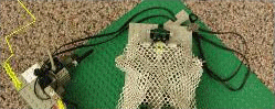 bbc31banner3.gif