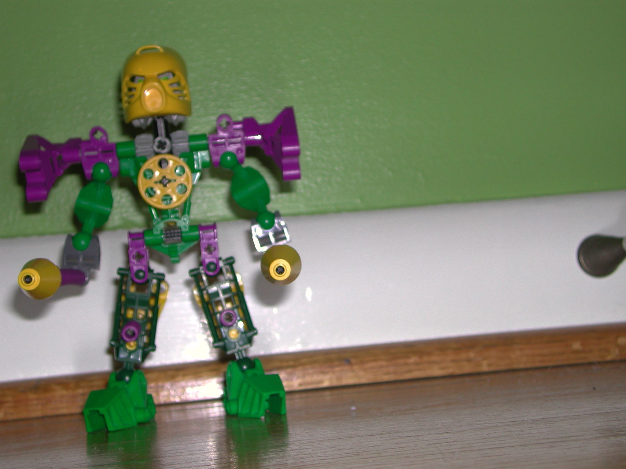 dscn7195.jpg