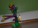 dscn7196.jpg