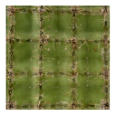 cactus_top.png