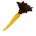 carrotgolden.png