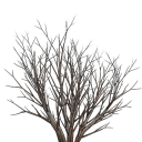 deadbush.png