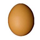 egg.png