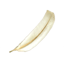 feather.png