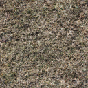 grass_top.png