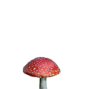 mushroom_red.png