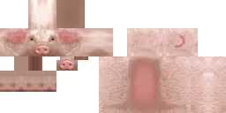 pig.png