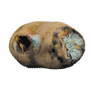 potatopoisonous.png