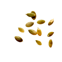 seeds_pumpkin.png