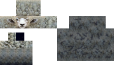 sheep.png