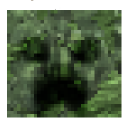 skull_creeper.png