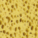 sponge.png