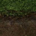 grass_side.png