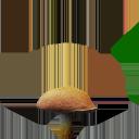 mushroom_brown.png