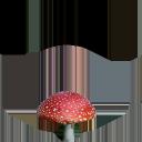 mushroom_red.png