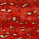 mushroom_skin_red.png