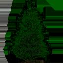 sapling_spruce.png