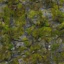 stonemoss.png