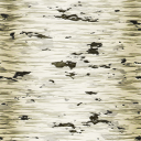 tree_birch.png