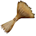 wheat.png